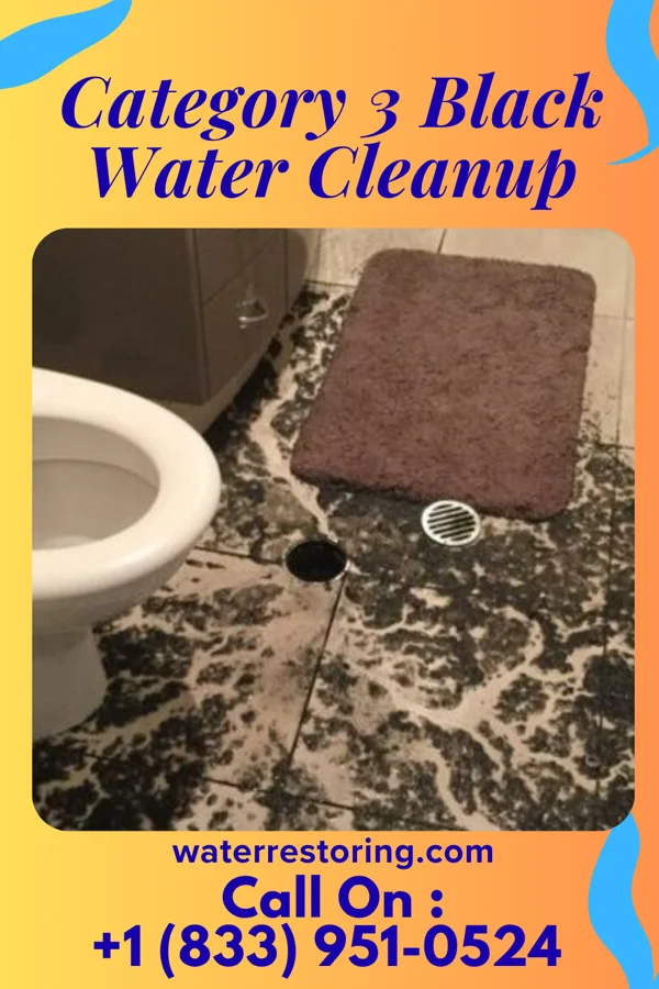 Category 3 Black Water Cleanup in Vineyard Lake, MI