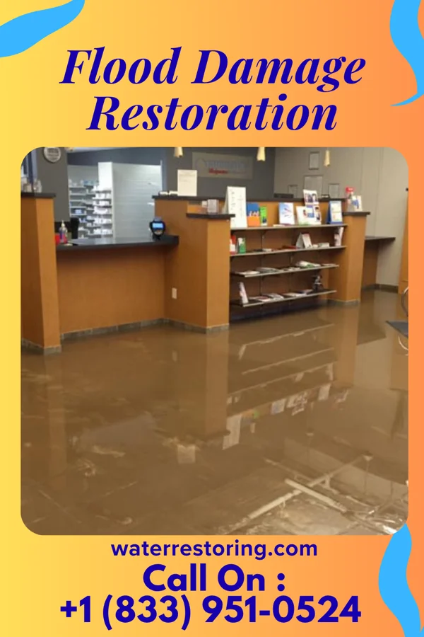 Flood Damage Restoration in Vineyard Lake, MI