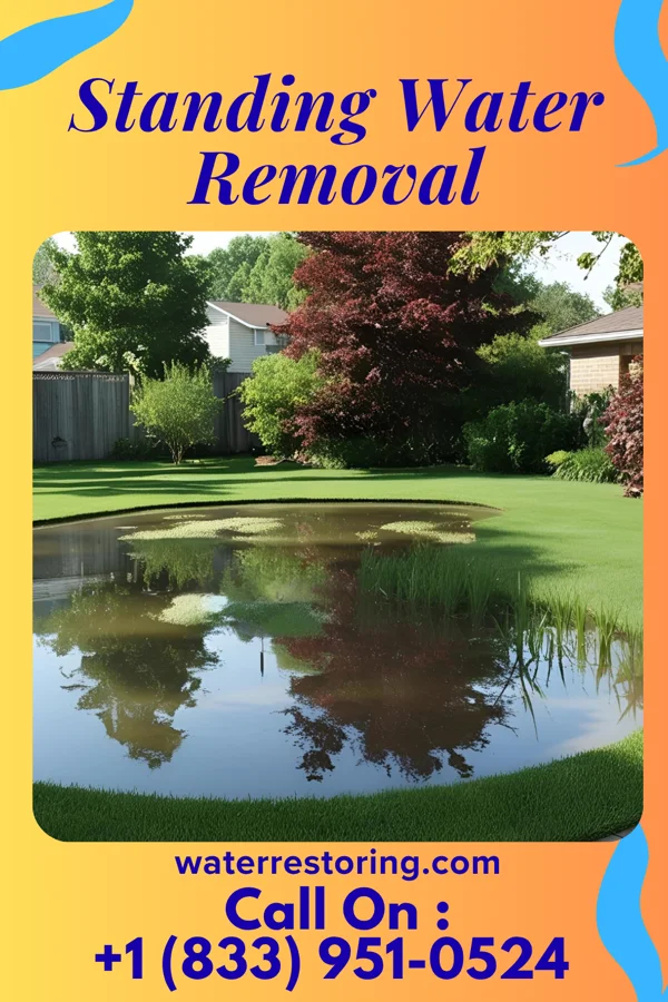 Standing Water Removal in Vineyard Lake, MI